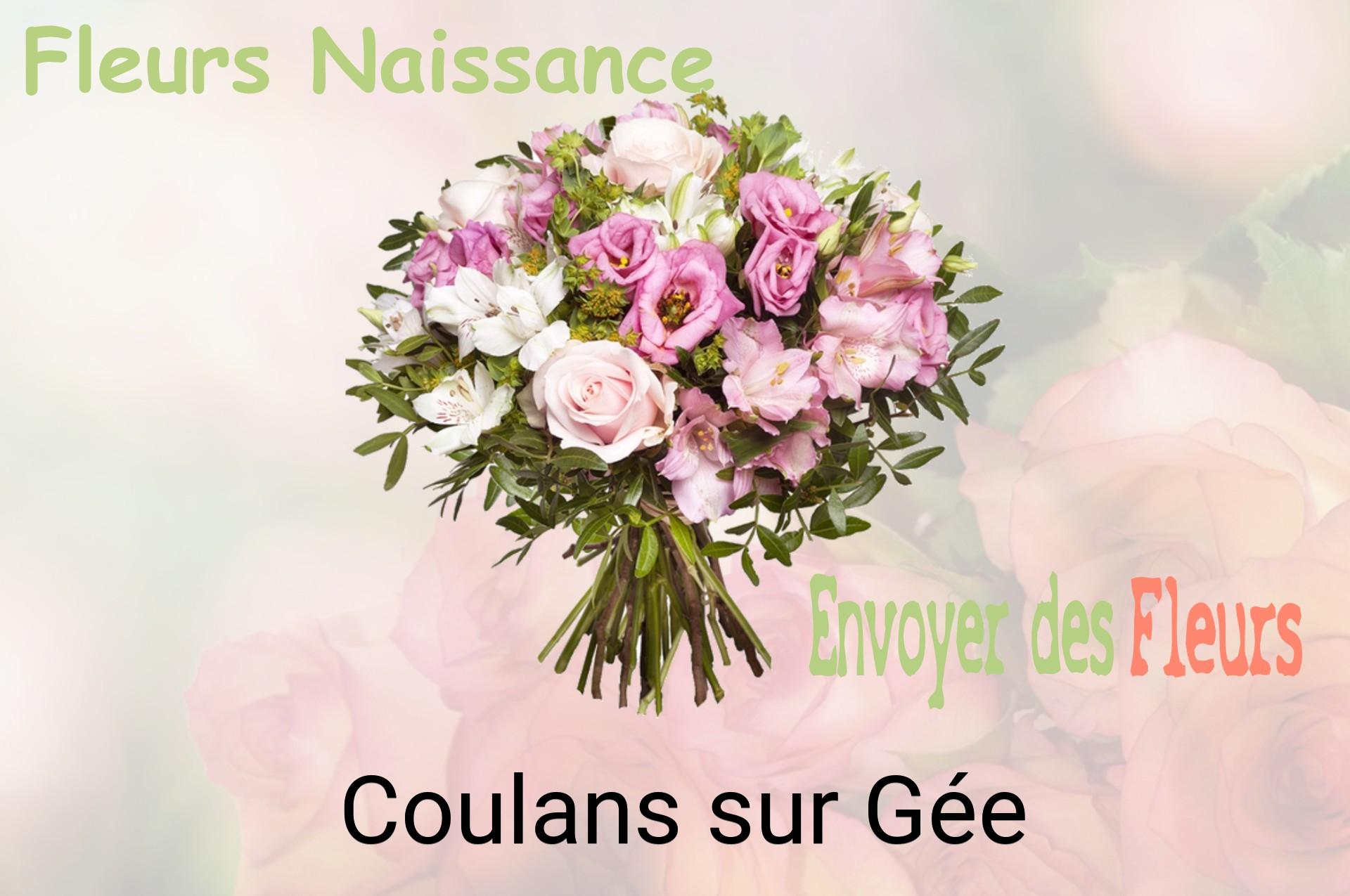 Bouquet de fleurs de naissance livré à Coulans-sur-Gée
